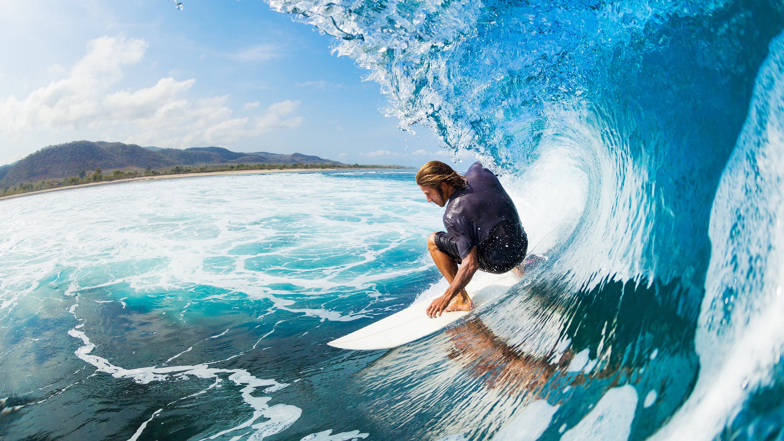 “罕见奇观:场上场下令人难以置信的趣味”,场上什么意思